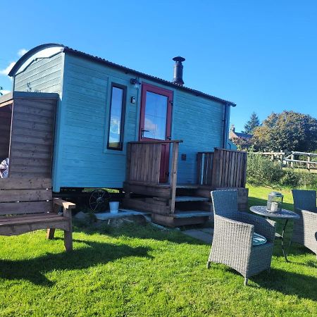The Shepherds Hut At Forestview Farm Greenisland Exterior photo