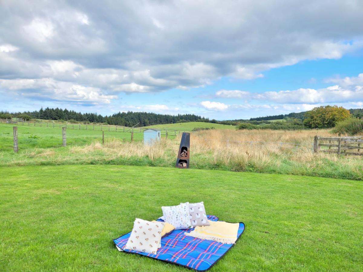 The Shepherds Hut At Forestview Farm Greenisland Exterior photo